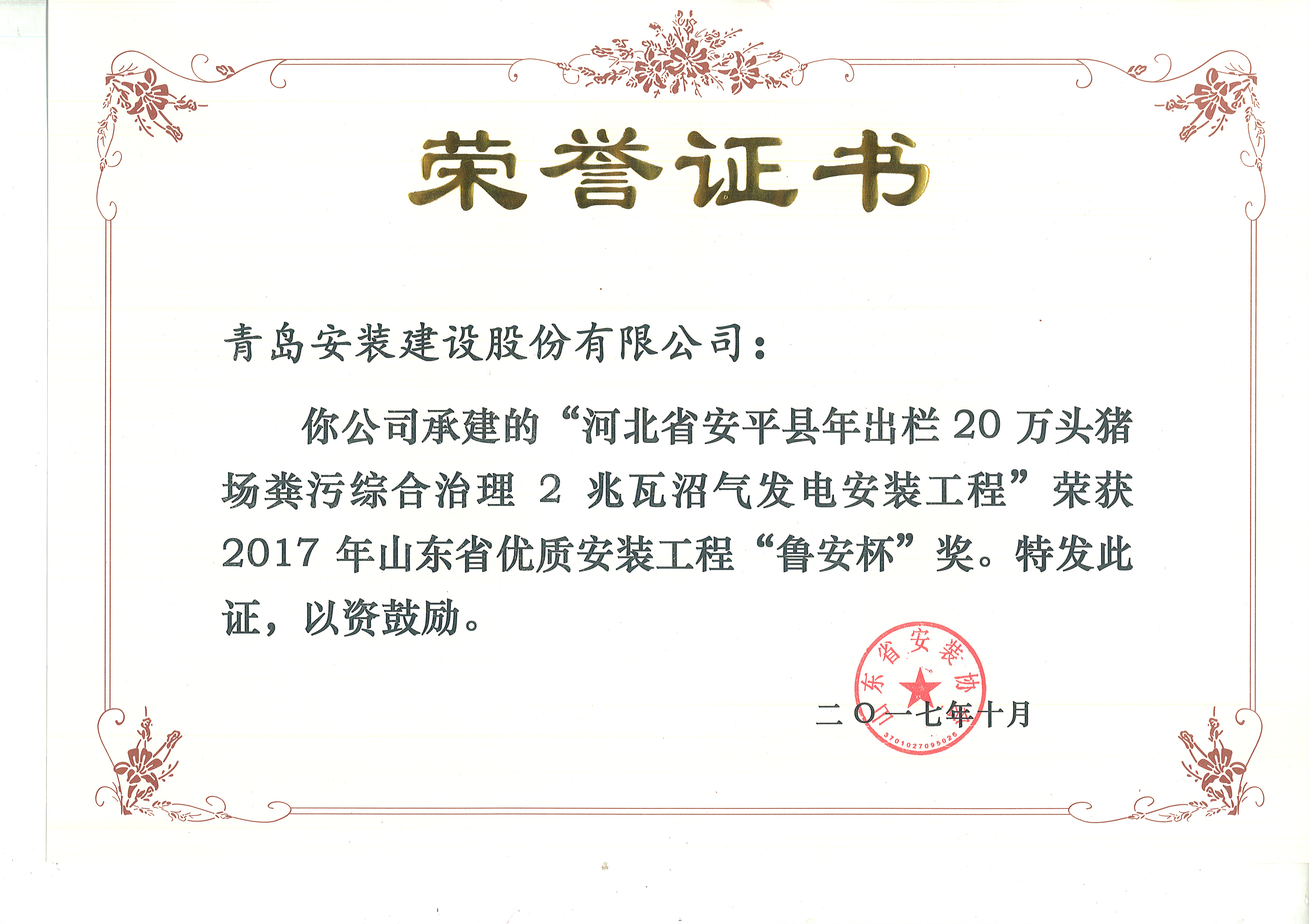 73、17魯安杯-河北安平2兆瓦沼氣發(fā)電.jpg